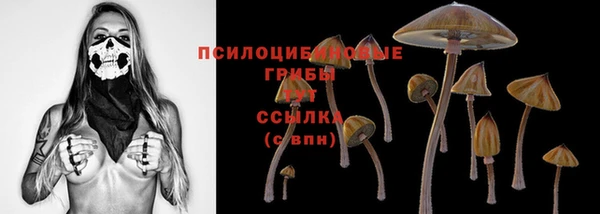 первитин Абаза