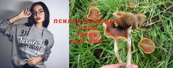 гидропоника Абдулино