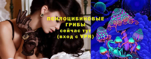 соль ск Слюдянка