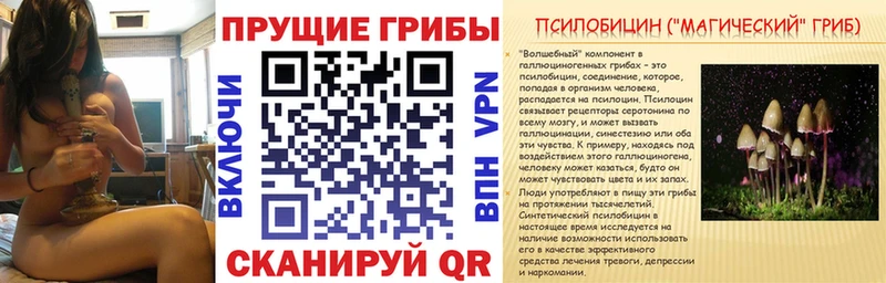 где купить наркоту Аксай Галлюциногенные грибы Magic Shrooms