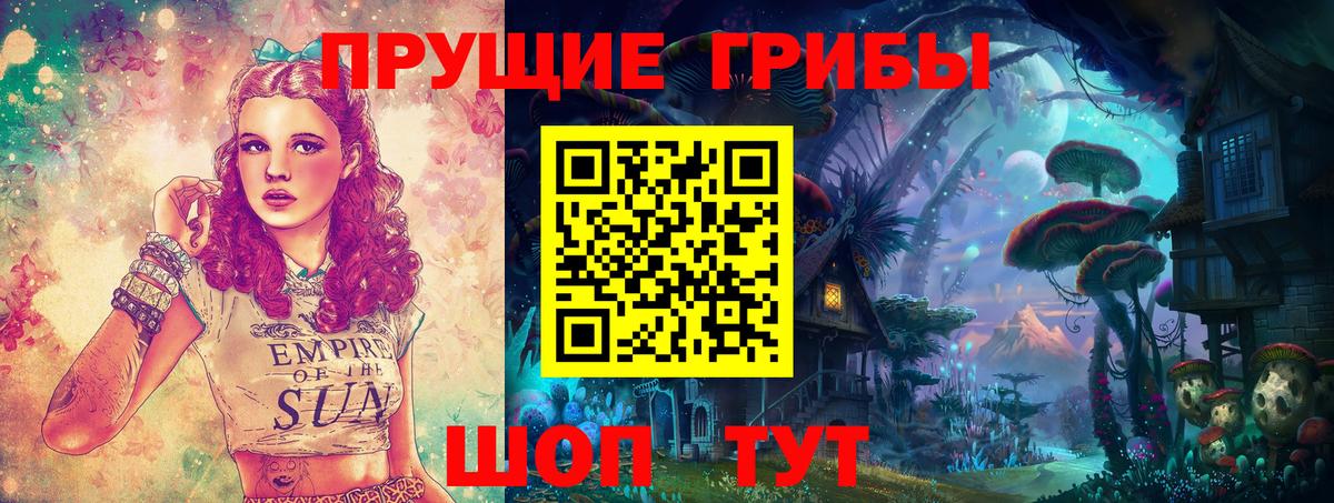 Псилоцибиновые грибы Psilocybe  Вход с VPN  Аксай  Галлюциногенные грибы прущие грибы 